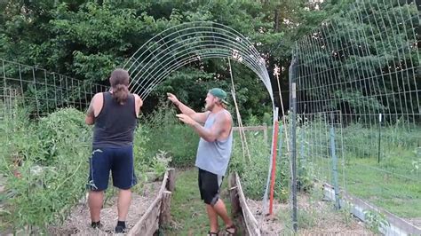 How To Build A Garden Arch Trellis Or Garden Arbor For 30 Roots