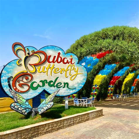 Dubai Butterfly Garden | Dubai Verse