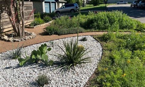 10 Awesome Native Texas Landscaping Ideas Native Backyards