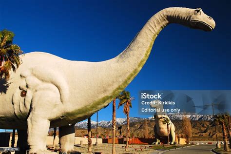 T Rex And A Brontosaurus Stock Photo Download Image Now Dinosaur