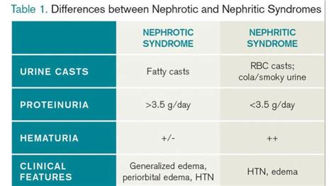 Nephritic Vs Nephrotic Syndromes Proteinuria Hematuria Clinical