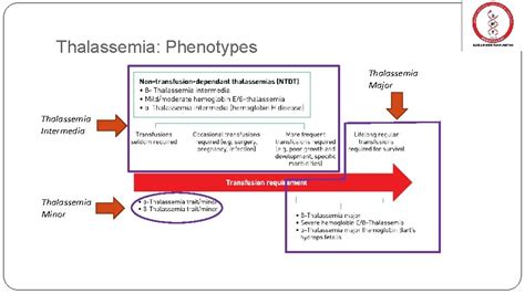 Diagnosis Of Thalassemia And Related Hemoglobin Disorders Dr