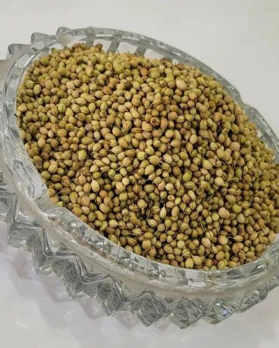 Natural Green Organic Coriander Seed Form Whole At Rs Kg In Satara