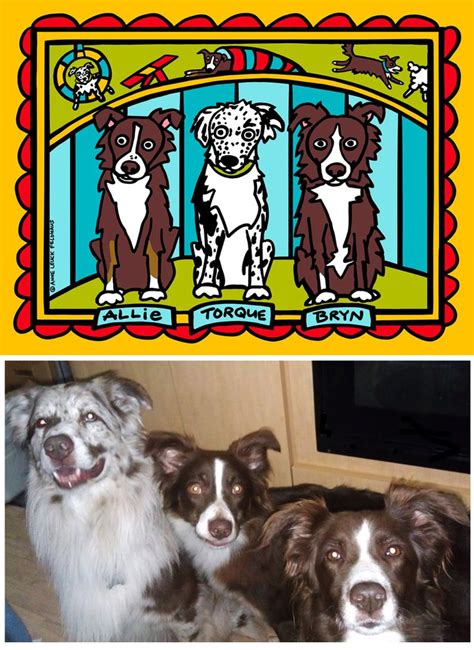 Allie Toque And Bryn Border Collie Agility Champs Super Fun Pet Story