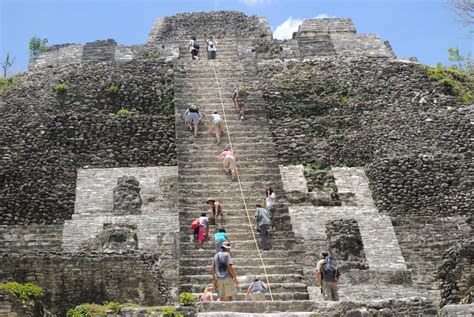 Belize It - 2010!: Mist netting and Lamanai ruins