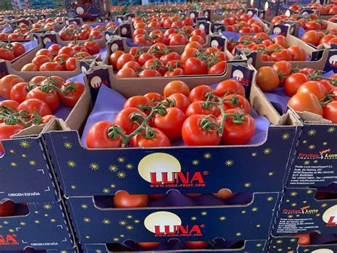 Horti Daily On Twitter Everyone S Expecting A Top Spanish Tomato And