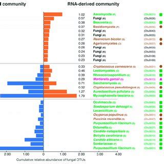 Krona Charts Illustrating The Taxonomic Distribution Of Fungal Otus At