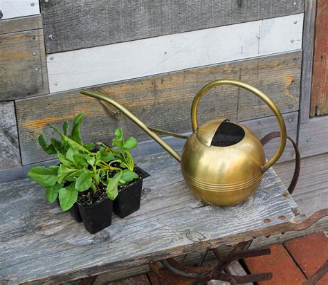 Globe Hand Spun Solid Brass Watering Can For Houseplants And Etsy