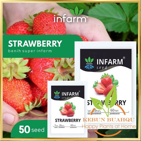 Jual INFARM Benih Bibit Biji Super Buah Strawberry Stroberi Red