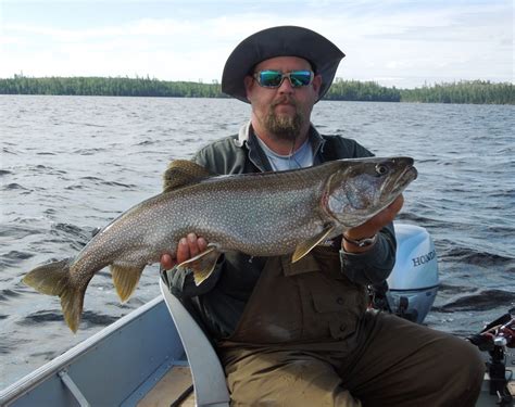 Bow Narrows Camp Blog On Red Lake Ontario Lake Trout Project Truly