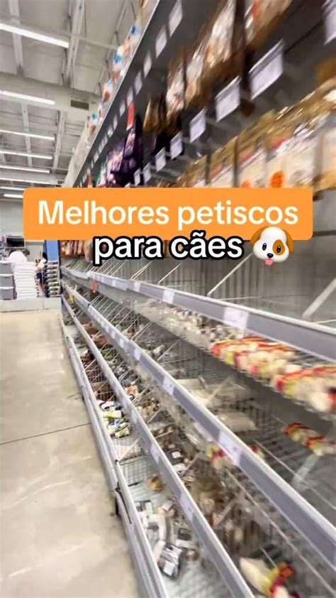 Quer Saber Quais S O Os Melhores Petiscos Para O Seu C O No V Deo