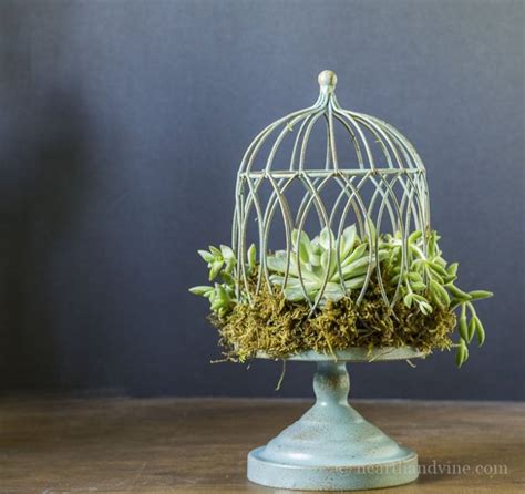 How To Make A Succulent Birdcage Planter Hearth And Vine