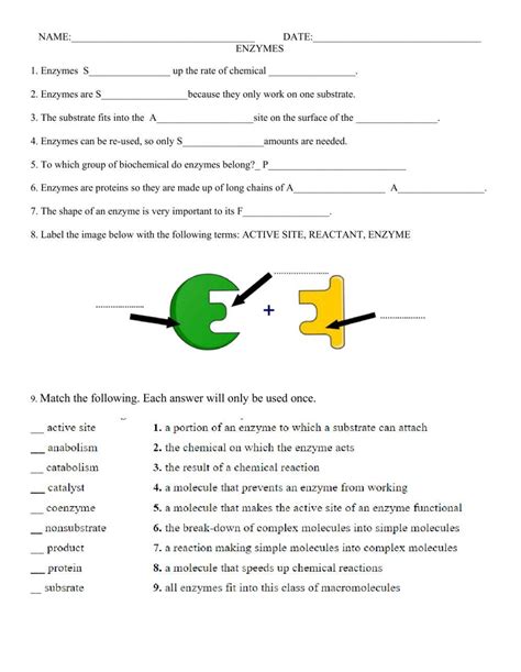 1984344 Enzymes Shaughton Liveworksheets