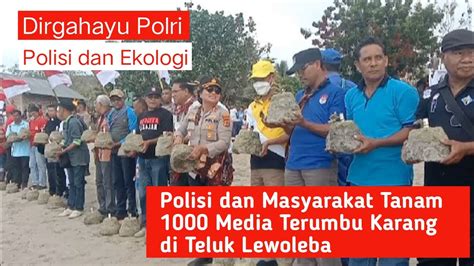 Untuk Teluk Lewoleba Polres Lembata Dan Masyarakat Tanam 1000 Media