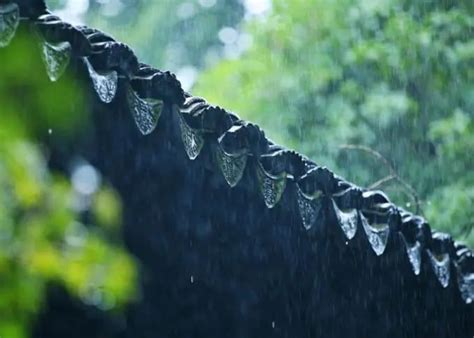 秦皇岛今日中雨转雷阵雨，明日雷雨继续打卡！ 澎湃号·政务 澎湃新闻 The Paper