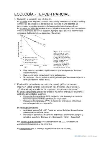 Tercer Parcial Pdf