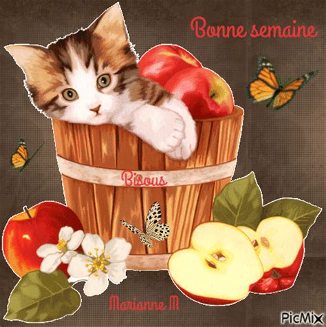 Farm Insolite Page Farmerama Fr