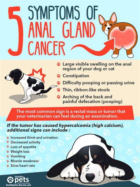 Mercola Healthy Pets Infographics