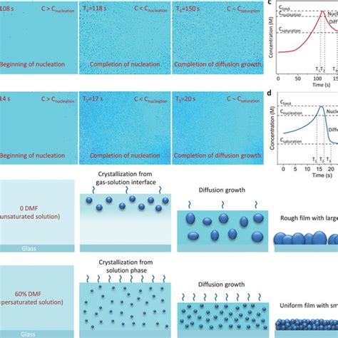 Film‐forming Process Of Blade‐coated Perovskite Films Ab Snapshots