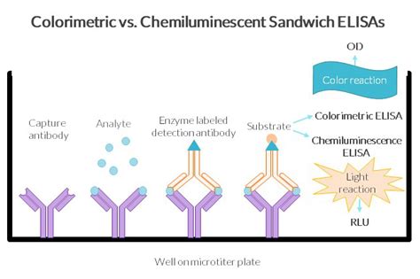 A Comparison Of Colorimetric And Chemiluminescence ELISAs