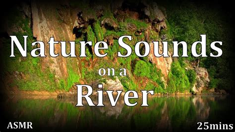 25mins Nature Sounds On A River Asmr Youtube