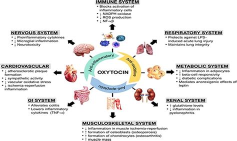 Oksitocin Aqualab