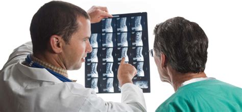 Кости их классификация и строение | Meddoc