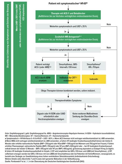 Herzinsuffizienz Behandlung Betreuung Und Arzneimittel Wechselwirkun