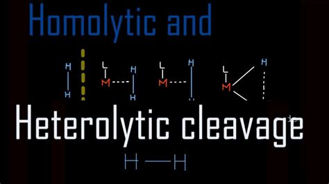 Homolytic And Heterolytic Cleavage Of H H Bond Youtube