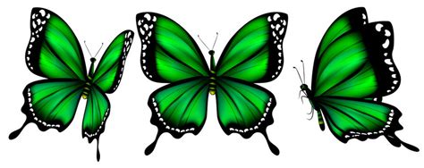 Free clip green butterfly, Download Free clip green butterfly png ...