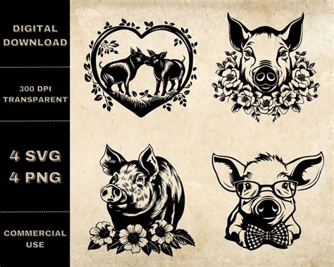 Cute Pig Svg Bundle Png Pig Clipart Hand Drawn Pigs Vector