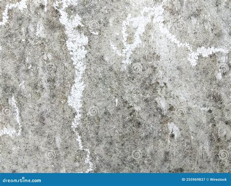 Background Of Concrete Texture Stock Image Image Of Background