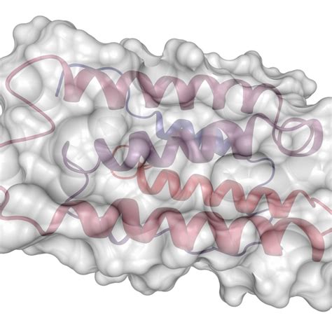 Rrms Study Using Mri Reveals Benefits Of Experimental Therapy In