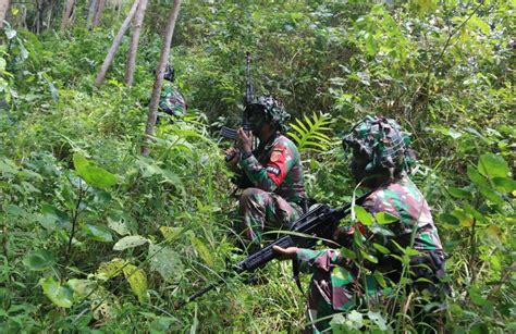 Uji Kesiapan Tempur Prajurit Yonif Raider 323 BP Ikuti Latihan Ini