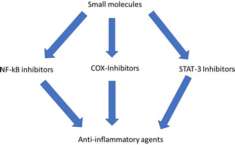 Small Molecules As Antiinflammatory Agents Molecular Mechanisms And