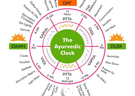 Are You Following The Ayurvedic Clock Sunshine Ayurveda