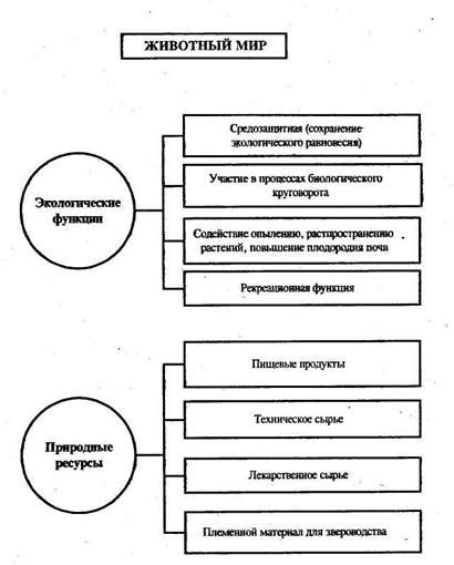 Антропогенные воздействия на животный мир