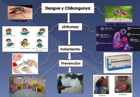 Mapa Mental Sobre El Dengue ROAREDU