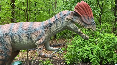 Explore Maryland’s Own “Jurassic Park” - YouTube