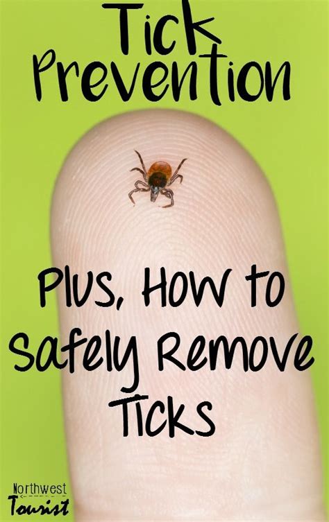 Tick Prevention And How To Remove Ticks Tick Prevention Tick Removal