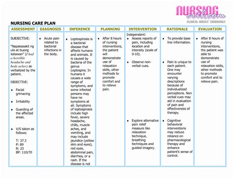 Hyperthermia Neonatal Sepsis Nursing Care Plans Ncp Nursing Care Plan