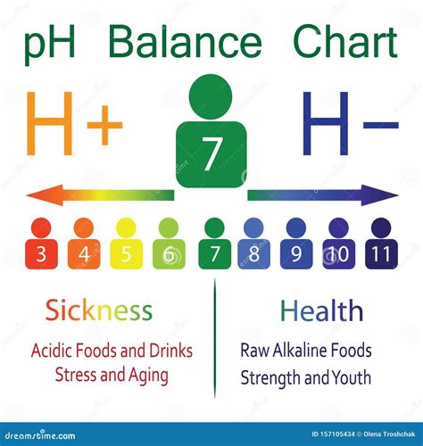 Ph Level Ballance Chart Stock Vector Illustration Of Chemical 157105434