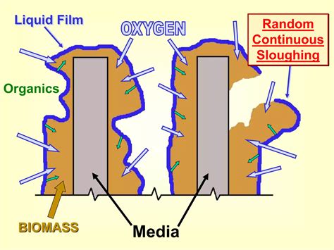 Rotating Biological Contactor Process Ppt