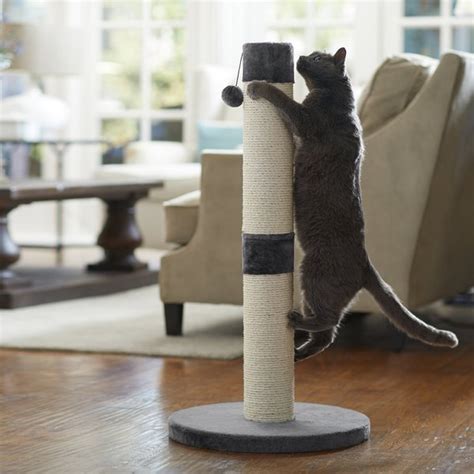 Smartcat The Ultimate In Sisal Cat Scratching Post Gray Chewy