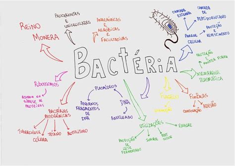 Mapa Mental Sobre BactÉrias Maps4study Mapas Mentais Mapa Mapa Mental