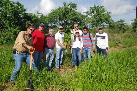 Jornada Estatal de Reforestación