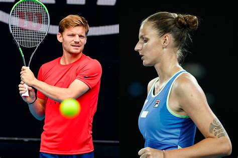 Goffin splits with coach Johansson; Pliskova and Vallverdu part ways ...