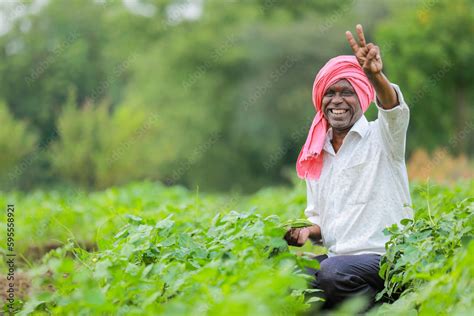 Cowpea Seeds farming, happy indian farmer, poor farmer Stock Photo ...