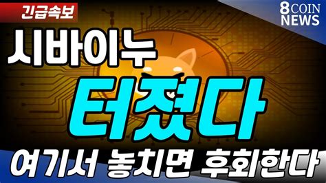 시바이누 긴급속보 정말 마지막 기회 여기서 놓치면 후회한다 Youtube