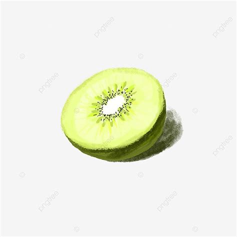 A Cut Kiwi Fruit Kiwi Half Kiwi Fruit Hand Painted Kiwi Fruit PNG